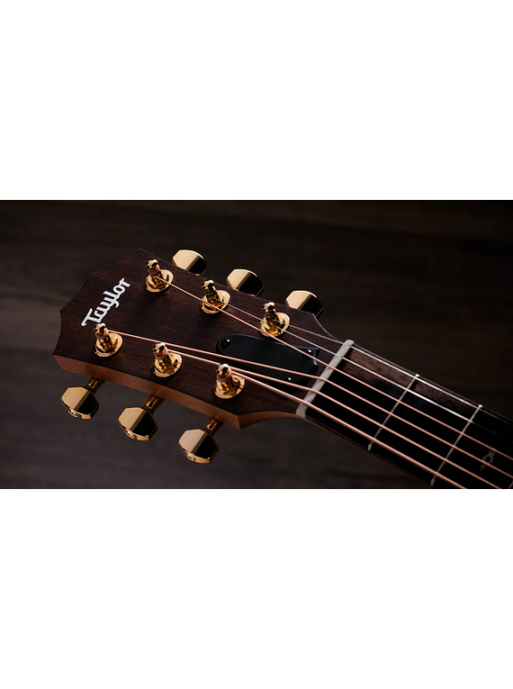 TAYLOR GS MINI-E ROSEWOOD SEB SUNSET BLVD