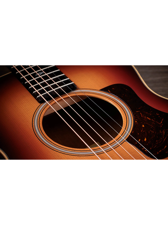 TAYLOR GS MINI-E ROSEWOOD SEB SUNSET BLVD