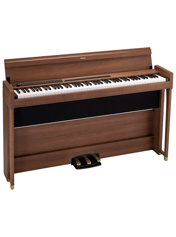 KORG POETRY / PIANO DIGITAL