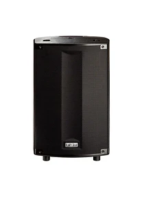 FBT PROMAXX 114A CAJA ACTIVA 14