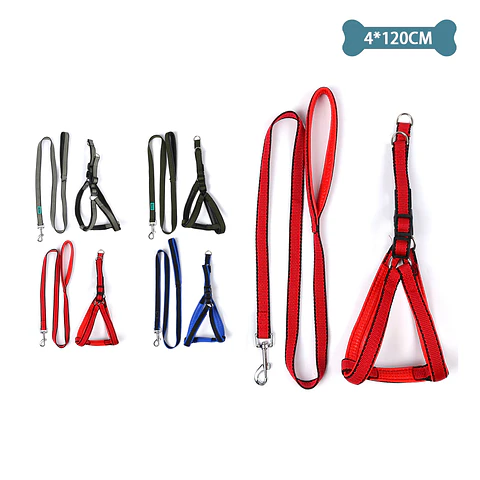 Set de arnés y correa 4.0cm*120cm Color Aleatorio