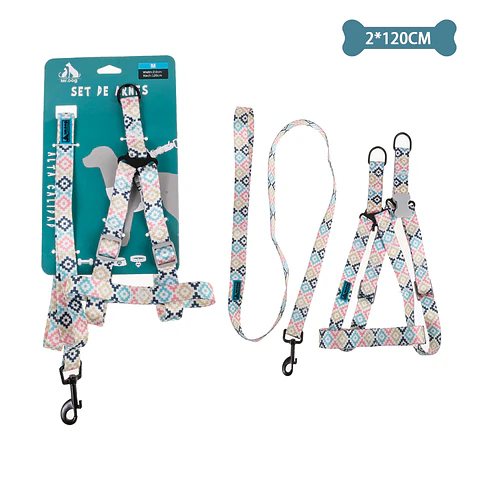 Set de arnés y correa 2.0cm*120cm