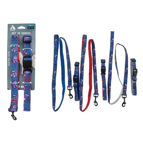 Set de correa y collar 2.5cm color aleatorio