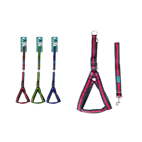 Set de arnés con correa 3.8cm Color Aleatorio