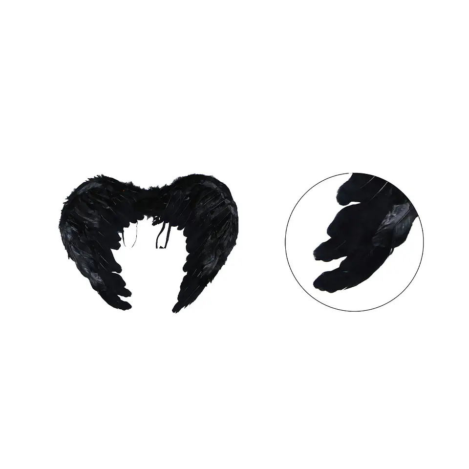 Alas negro 60*45cm 1