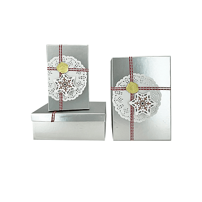Set de cajas de regalos rectangulares plateado 3pcs