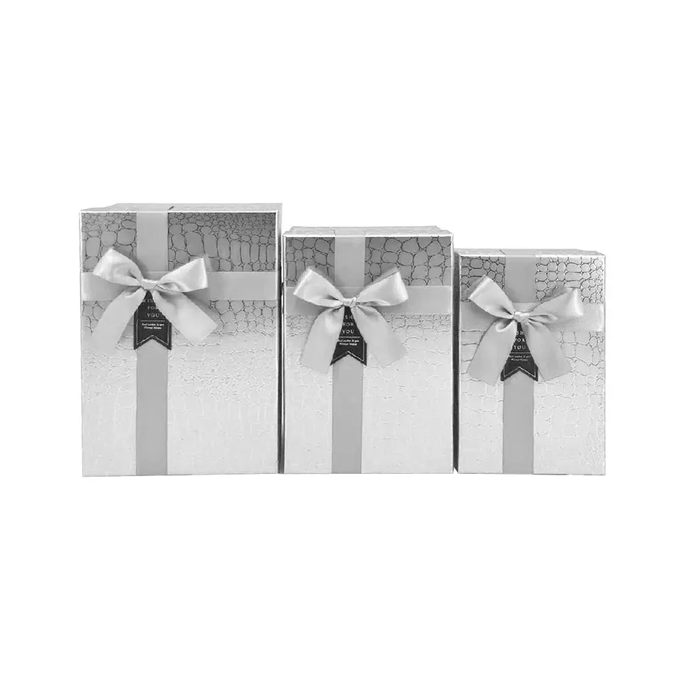 Set de cajas de regalos rectangulares plateado 3pcs 1