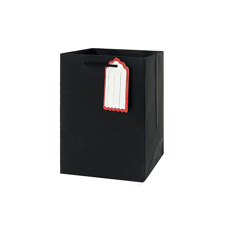 Bolsa de regalo negra S 23*18*10cm 12pcs