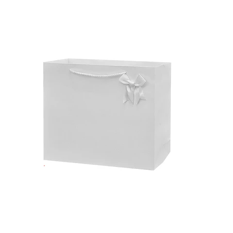 Bolsa de regalo horizontal blanca S 23*18*10cm 12pcs