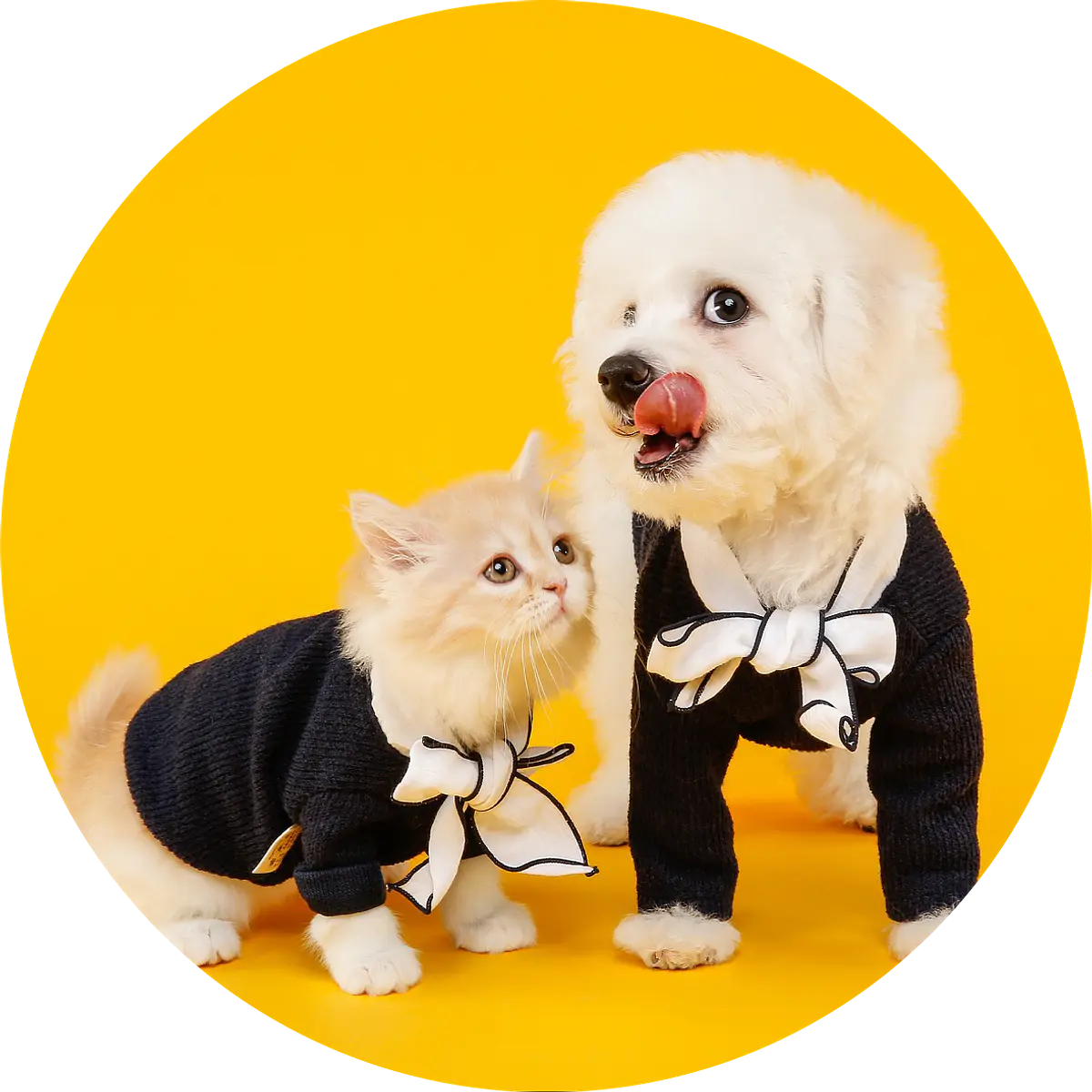 Mascotas