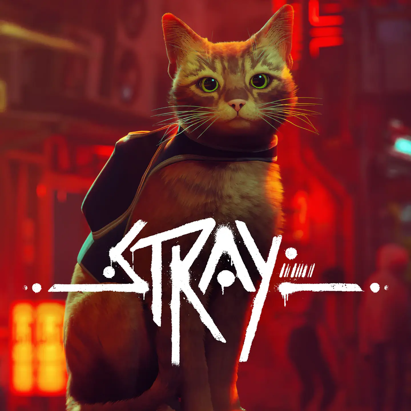 Stray 1