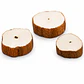 Pith Wood para Limpieza de Herramientas de Relojería – Pack 10 - Miniatura 2