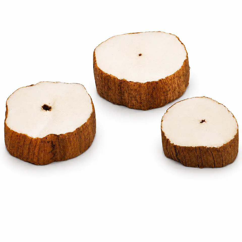 Pith Wood para Limpieza de Herramientas de Relojería – Pack 10 2