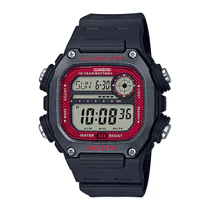 RELOJ DW-291H-1BVDF CASIO