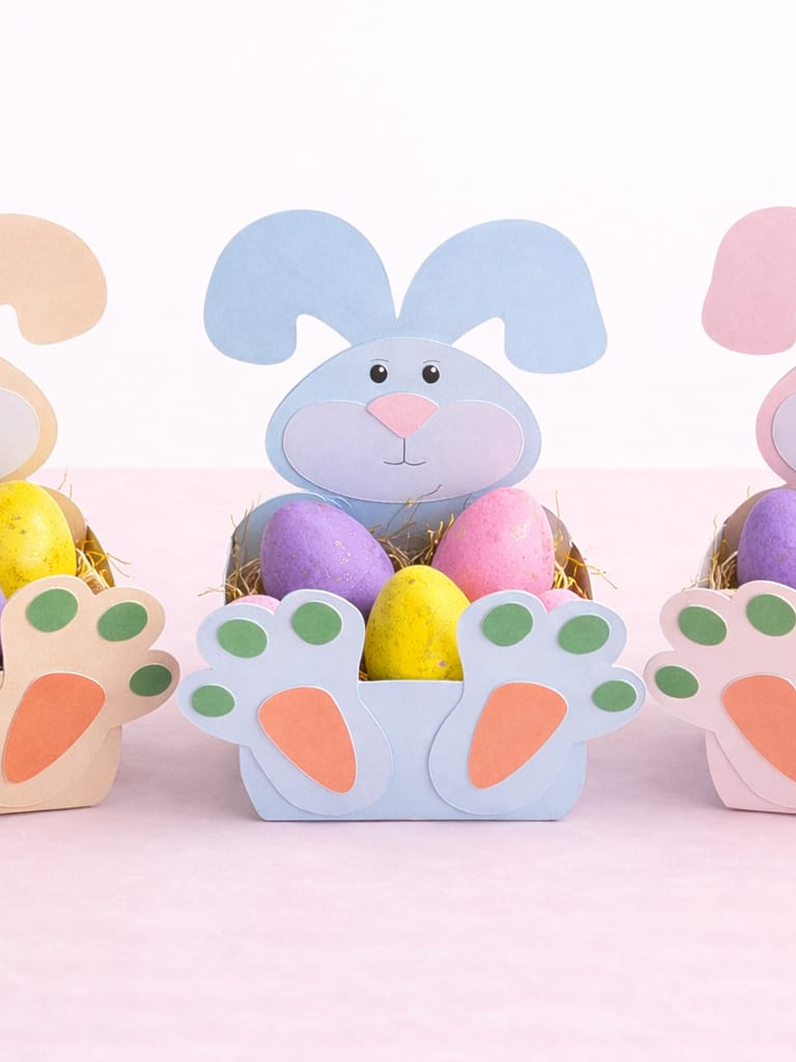 Pack Box Bunny 3und 1