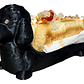Porta Completos Perro Salchicha Hot Dog (1 Unidad) - Miniatura 179
