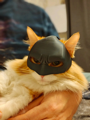 Mascara Para Gato Versión Batman 4