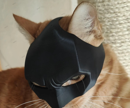 Mascara Para Gato Versión Batman 7
