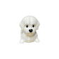 Porta Completos Perro Bichon Maltes - Miniatura 2