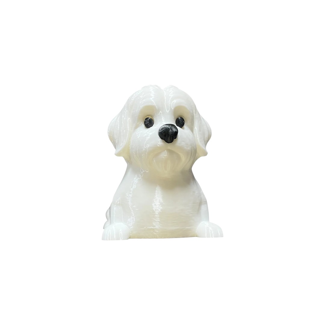 Porta Completos Perro Bichon Maltes 1
