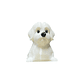 Porta Completos Perro Bichon Maltes - Miniatura 1