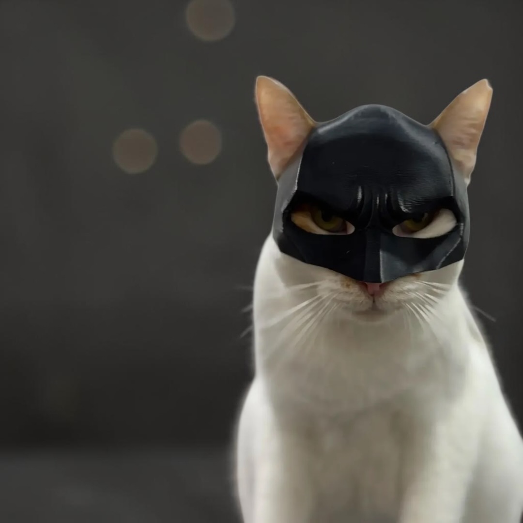 Mascara Para Gato Versión Batman 2