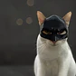 Mascara Para Gato Versión Batman - Miniatura 2