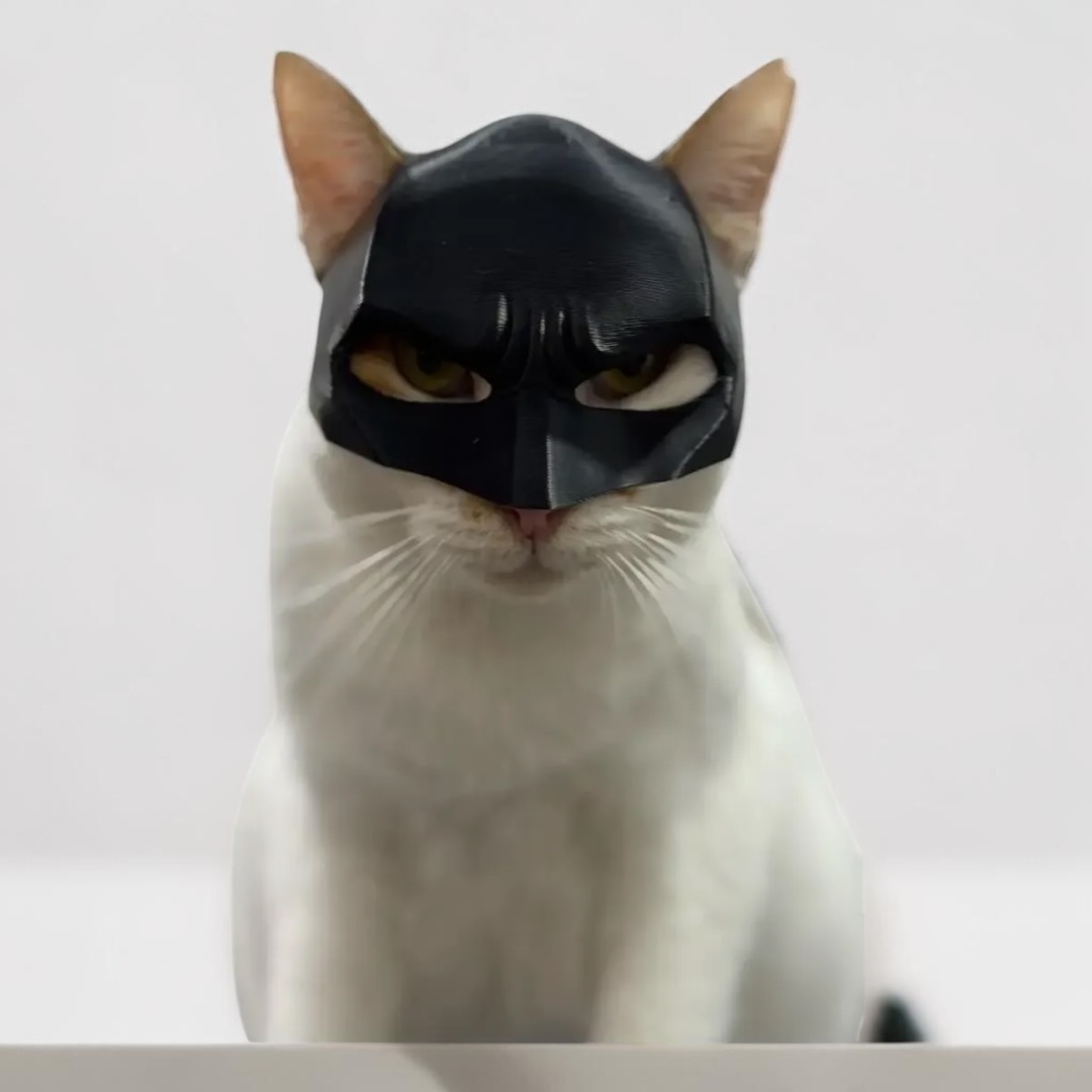 Mascara Para Gato Versión Batman 3