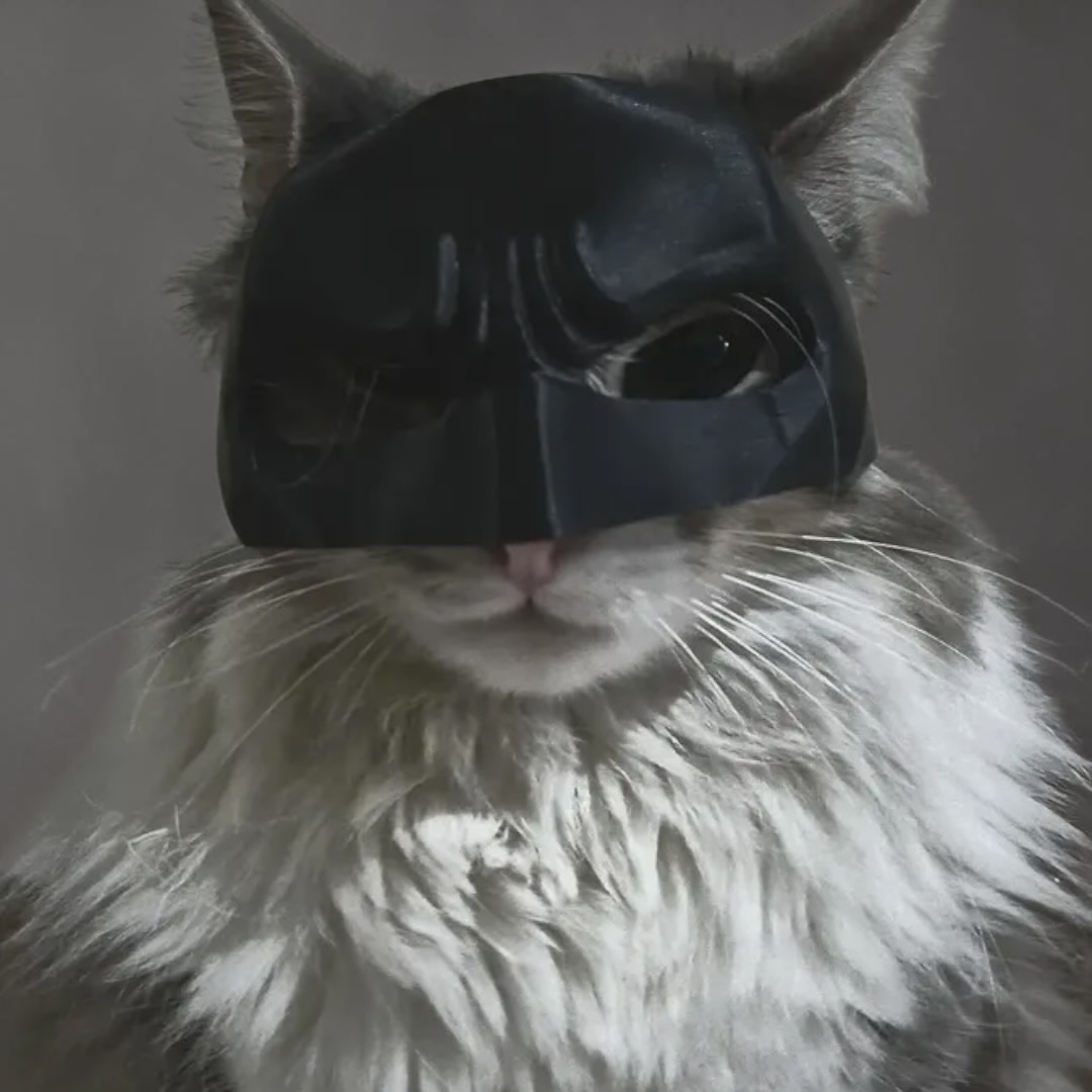 Mascara Para Gato Versión Batman 4
