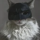 Mascara Para Gato Versión Batman - Miniatura 4