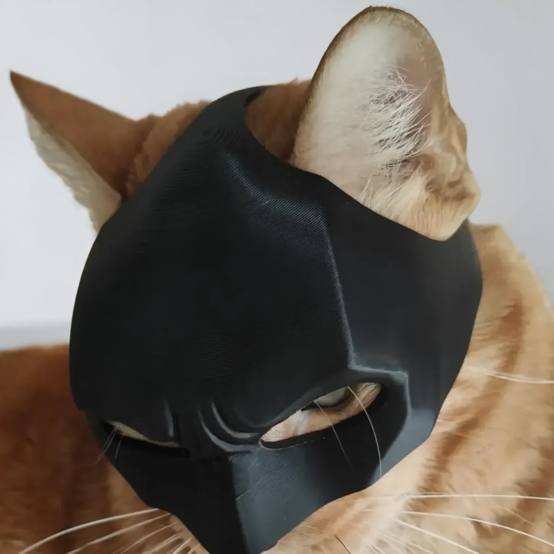 Mascara Para Gato Versión Batman 6