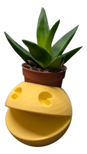 Maceteros Pacman Para Cactus O Suculentas X1 3
