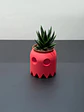 Maceteros Pacman Para Cactus O Suculentas X1 - Miniatura 13