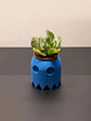Maceteros Pacman Para Cactus O Suculentas X1 - Miniatura 30