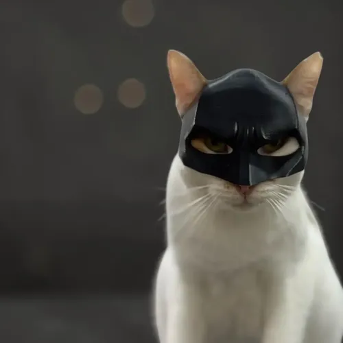 Mascara Para Gato Versión Batman 6