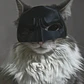 Mascara Para Gato Versión Batman - Miniatura 7