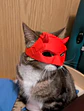 Mascara Para Gato Versión Daredevil - Miniatura 8