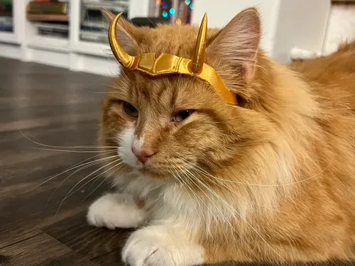 Mascara Antifaz Para Gato Versión Corona De Loki 3
