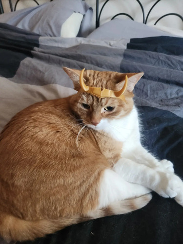 Mascara Antifaz Para Gato Versión Corona De Loki 4