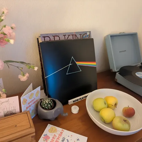 Organizador Para 14 Discos Vinilos 4