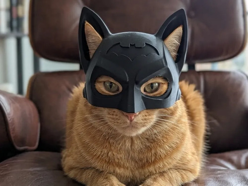 Mascara Para Gato Versión Batman V2 5