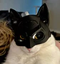 Mascara Para Gato Versión Batman V2 - Miniatura 6