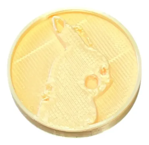 Monedas Tematica Pokecoin Pokémon (pack X20u) 2