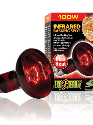 Exo Terra Ampolleta Infrarroja 50W
