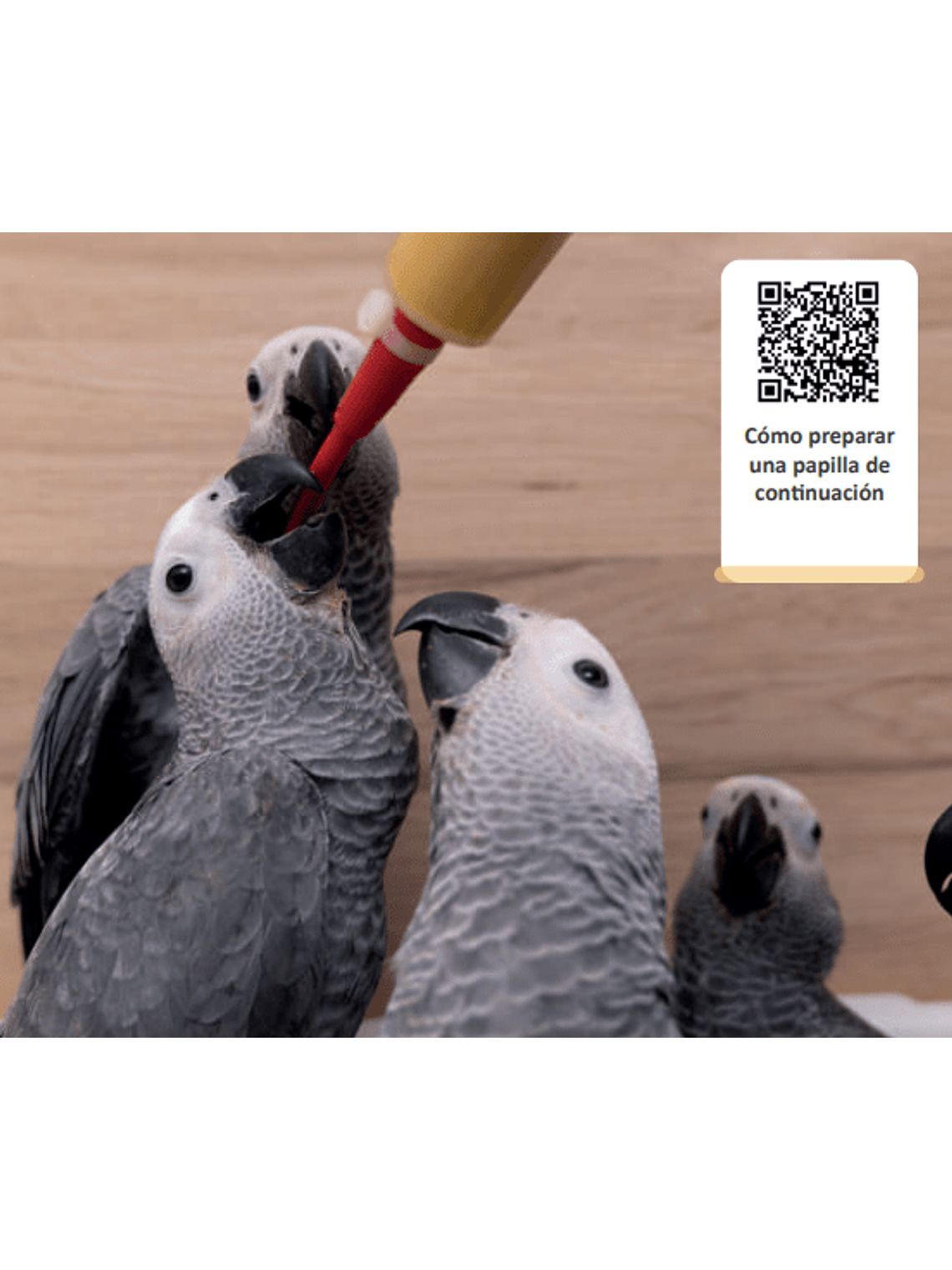 Psittacus Mini Papilla 350 gr 4