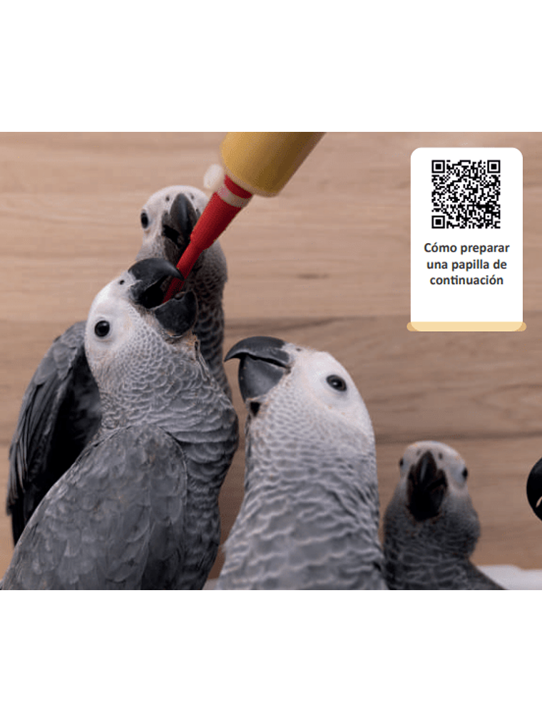 Psittacus Mini Papilla 350 gr 4