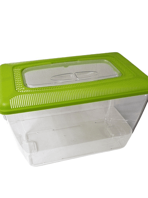 Acuario-Terrario Acrílico