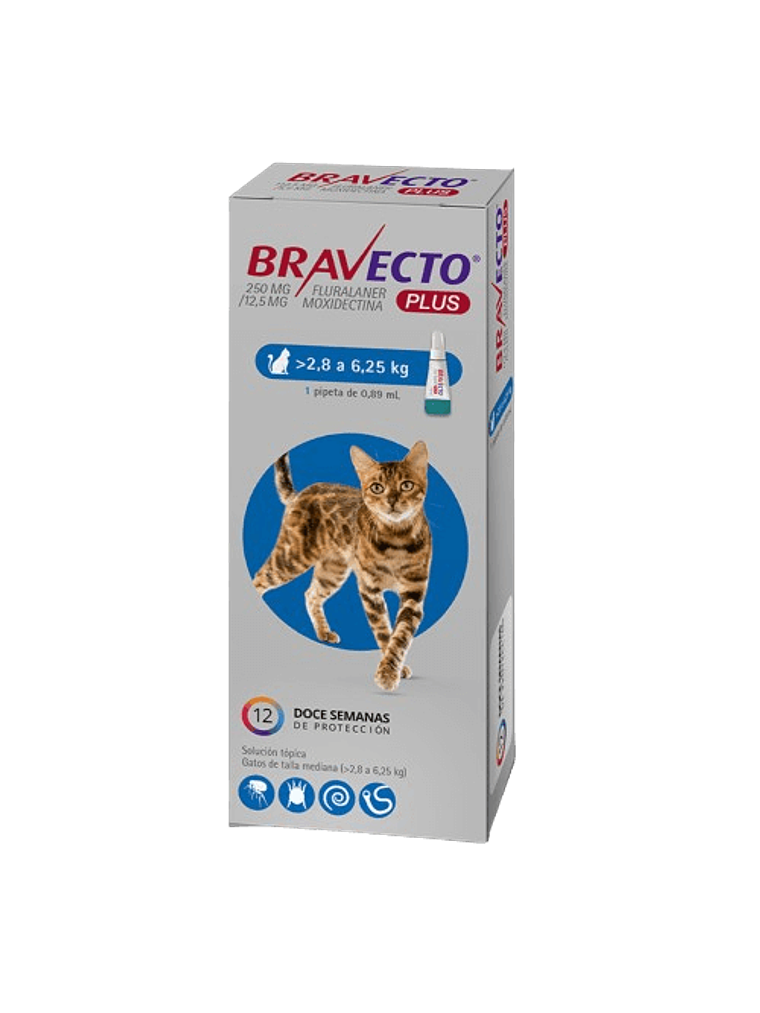 Bravecto Plus Pipeta Gato 1