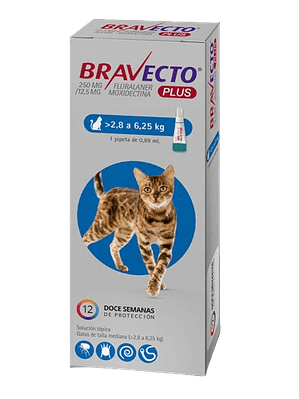 Bravecto Plus Pipeta Gato