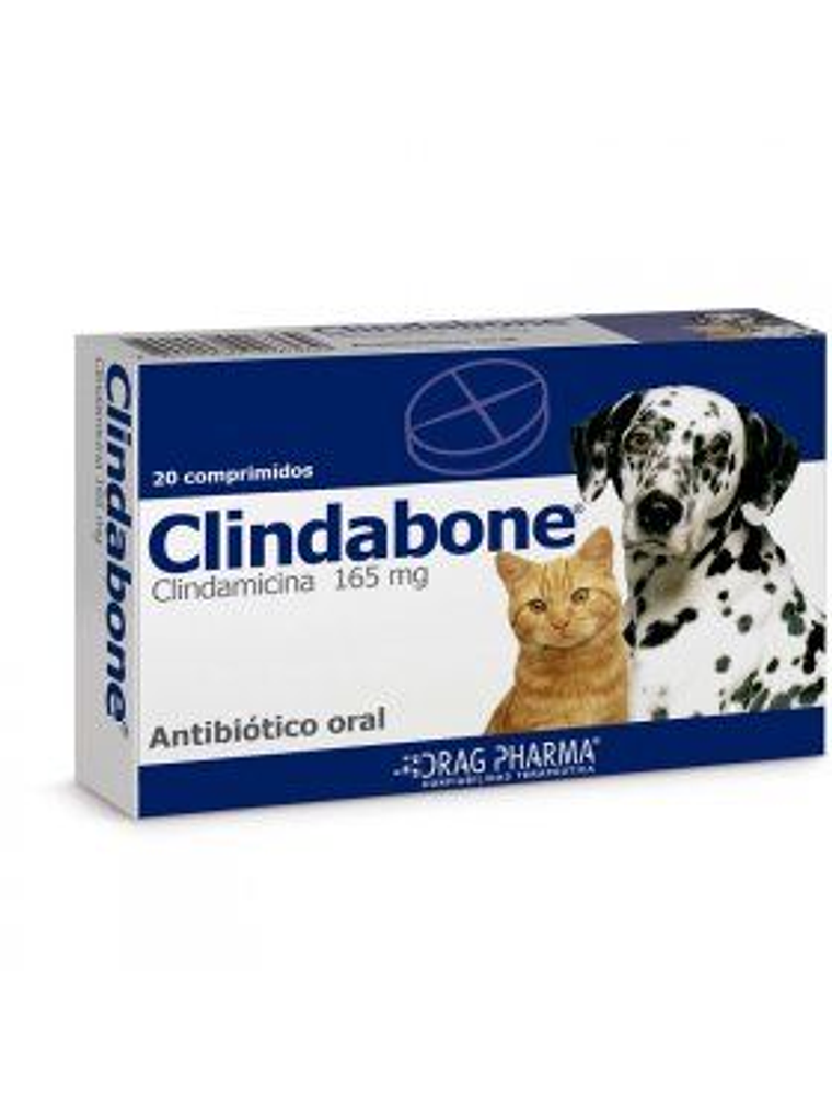 Clindabone - Clindamicina Comprimido Oral 1